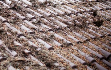 Bryn Saith Marchog roof cleaning companies