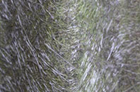 Bryn Saith Marchog fibreglass roof work